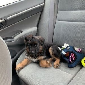 Meet your Posher, John